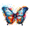 Regenbogen-Schmetterling