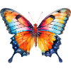 Spring Butterfly