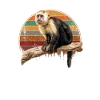 Capuchin monkey whisperer