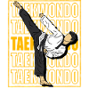 Taekwondo