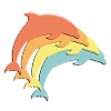 Delfine Delfin Dolphin