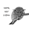 Nope, not today