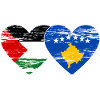 Palestine Kosovo Flag Heart Used