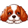 Cavalier King Charles couché