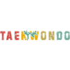 Taekwondo