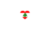 Liban Heartbeat Drapeau Libanais Libanais