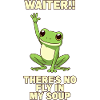 Frog Funny Funny
