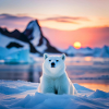 Pooh on the Ice Floe