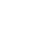 Année du Dragon 2024