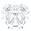 Bulldog