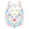 Siberian husky