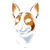 Basenji