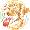 Golden retriever