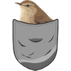 Wren Bird