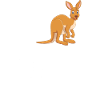 kangaroo