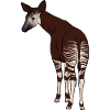 Okapi