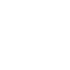 Bull Head Taurus