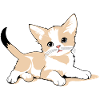 kitten