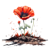 Poppy Blossom