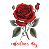 Valentine's Day