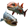 Amazonasfishing