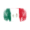 Mexican Flag Maracas Player