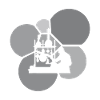 Biochemistry DNA Chemical
