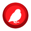 Bird Pet Wings
