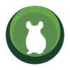 Rongeur souris chinchilla