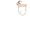 Goat in breast pocket