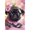 Joli bouledogue avec couronne de fleurs