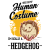 Hérisson Halloween Hérisson Déguisement