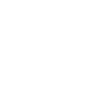 birthday present interactive dolphin experiences