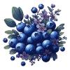 Bouquet of blueberries