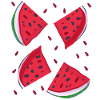 Watermelon Quarter