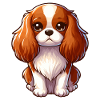 King Charles Cavalier Dog