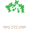 Mangrove Save World