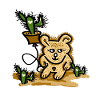 Ugly bear in desert sand