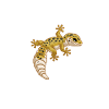 Gecko Salamander Lizard Reptile Gift