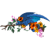Dragon & Lilies