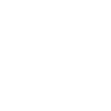 Owl Animal