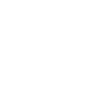 Cheetah Head