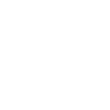 Pomeranian Dog Head Pomeranian