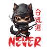 Ninja Cat Never Give Up