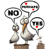 no maybe yes