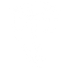 Snake Skull