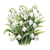 Snowdrop Bouquet