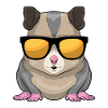 Hamster Sunglasses