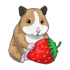 Hamster Strawberry Fruit