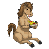 Pizza au cheval